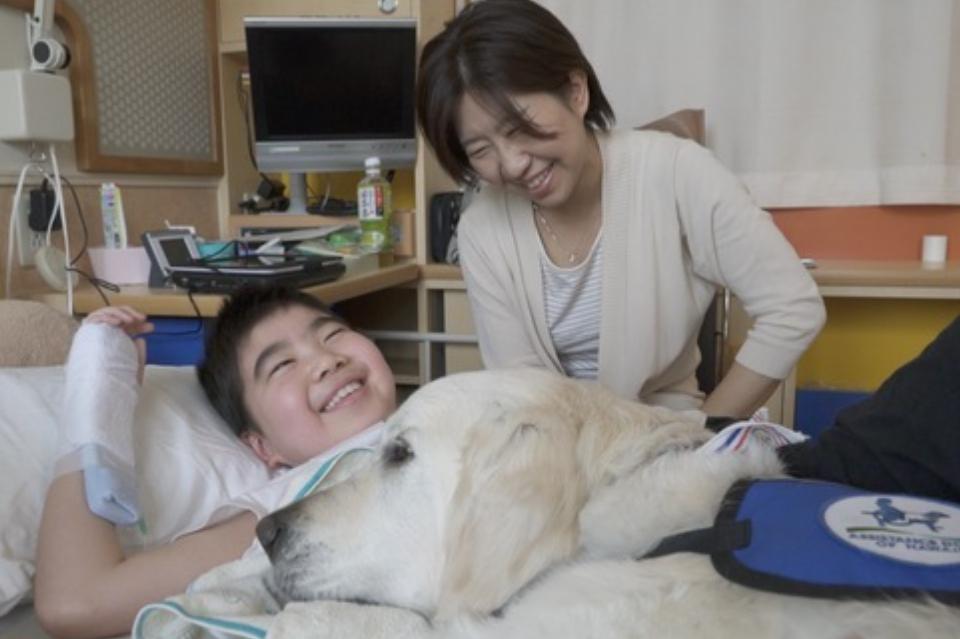 How support is used Image