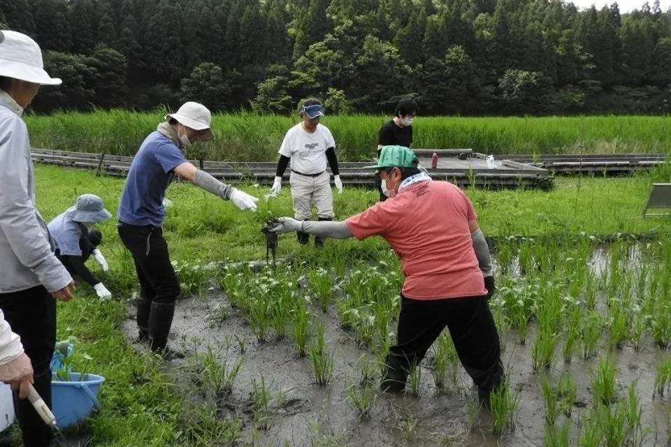 支援金の使い道の画像