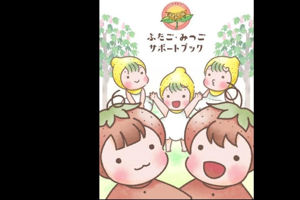 支援金の使い道の画像