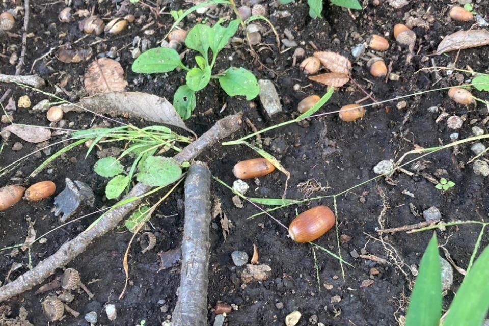 支援金の使い道の画像