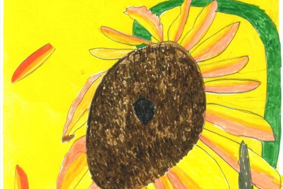 支援金の使い道の画像