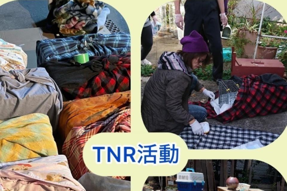 支援金の使い道の画像