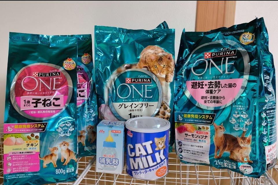 支援金の使い道の画像