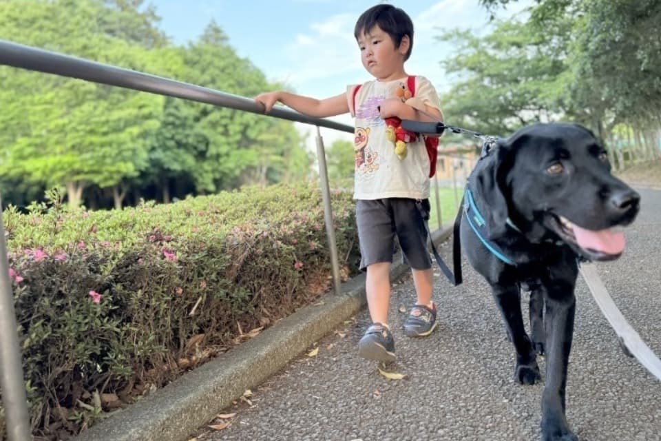 支援金の使い道の画像