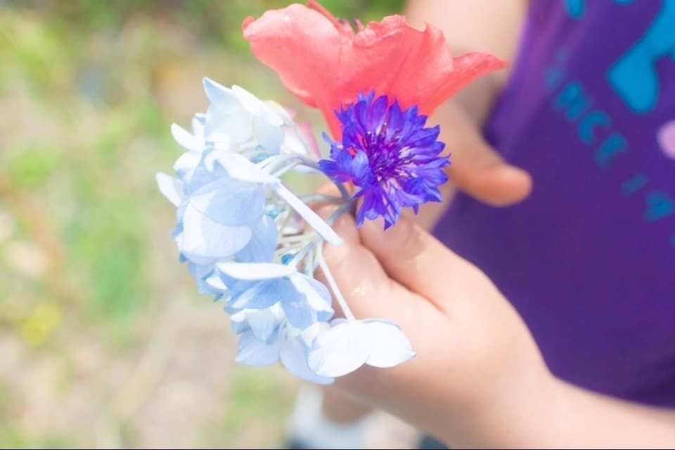 支援金の使い道の画像