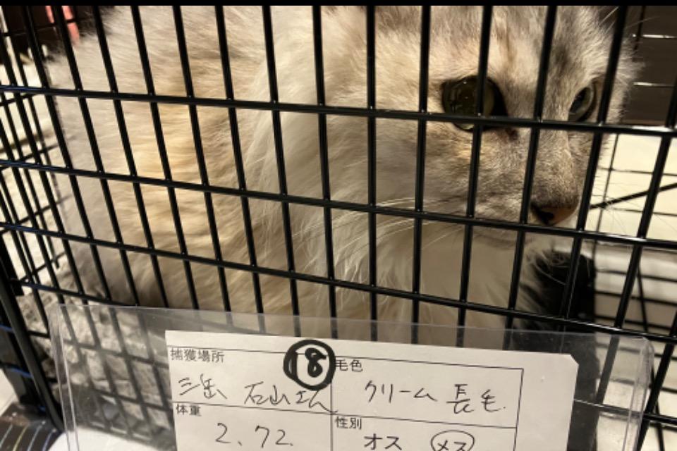 支援金の使い道の画像
