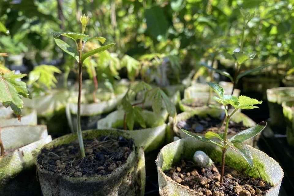 支援金の使い道の画像