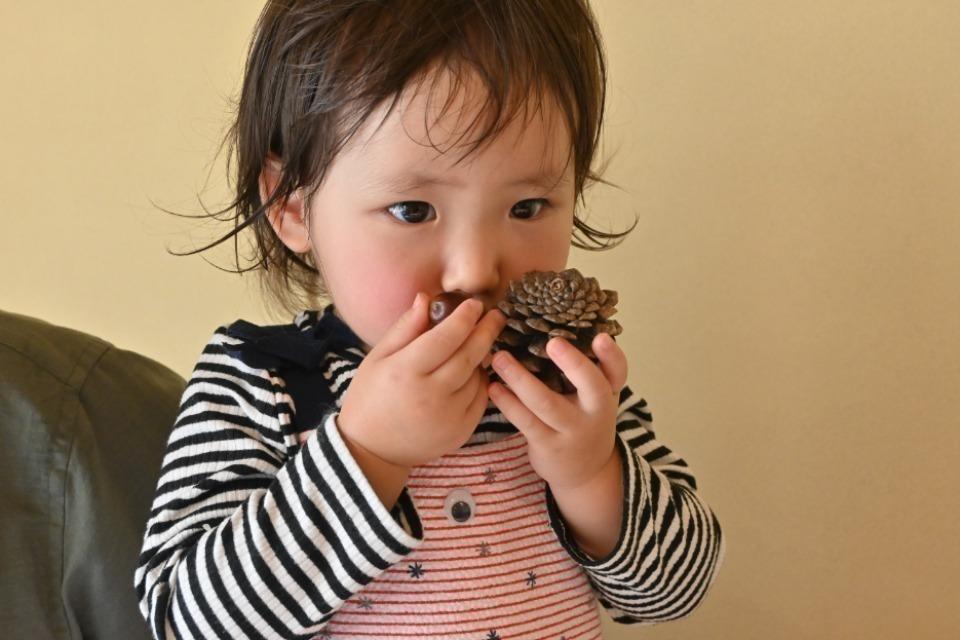 支援金の使い道の画像