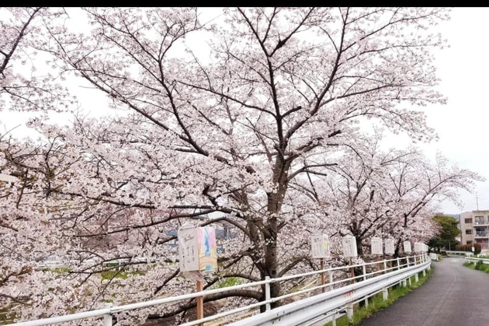 支援金の使い道の画像