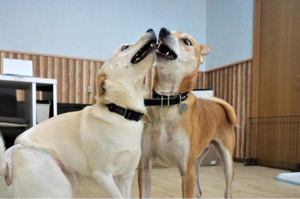 支援金の使い道の画像