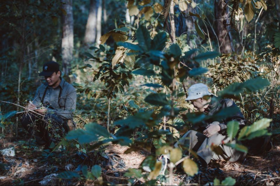 支援金の使い道の画像