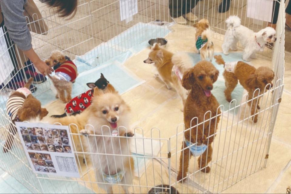 支援金の使い道の画像