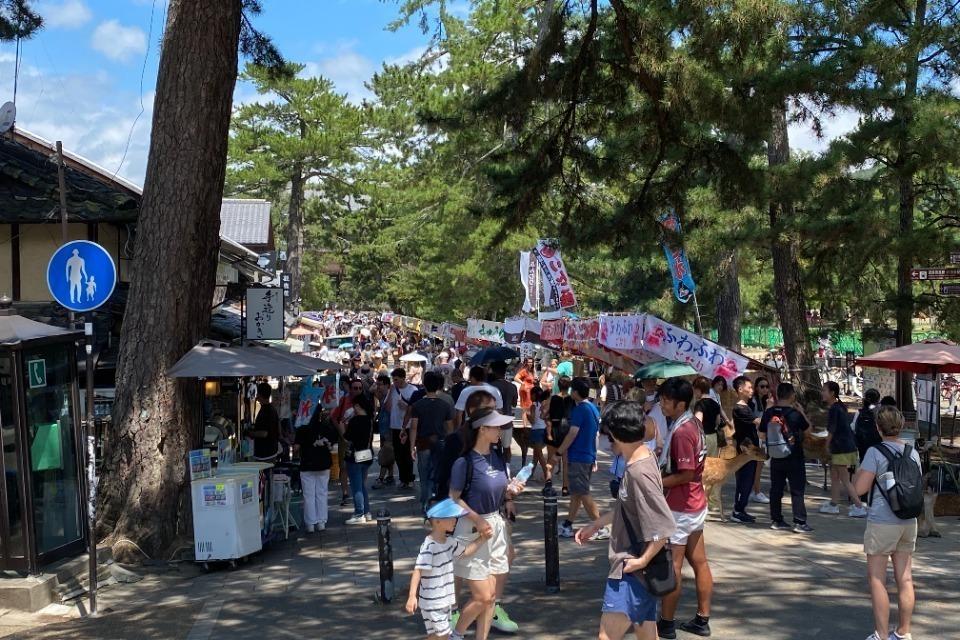 支援金の使い道の画像