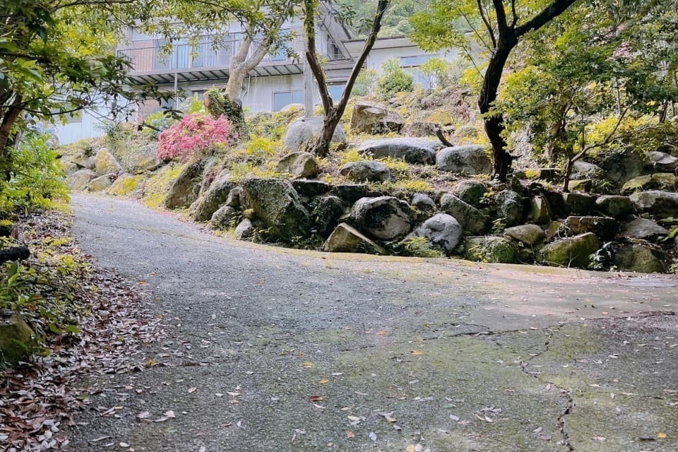 支援金の使い道の画像