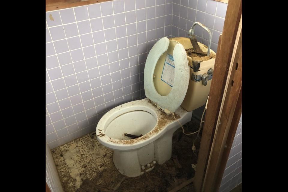 支援金の使い道の画像
