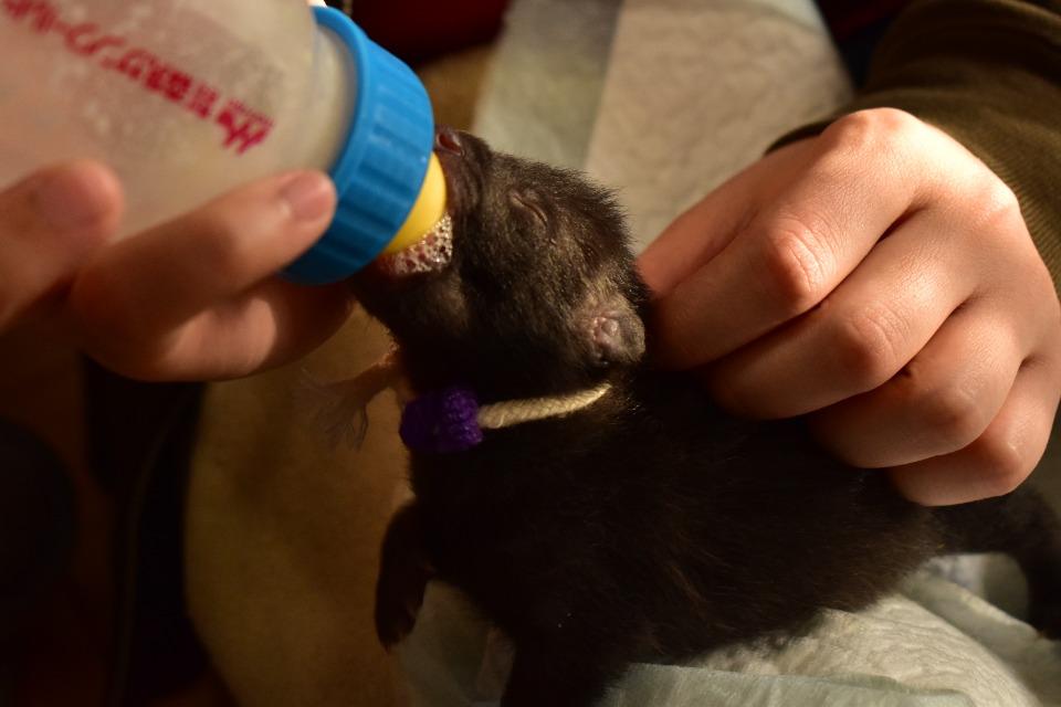 支援金の使い道の画像