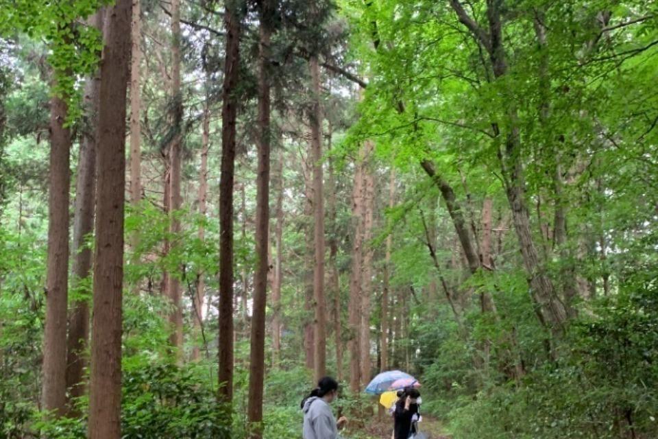 支援金の使い道の画像