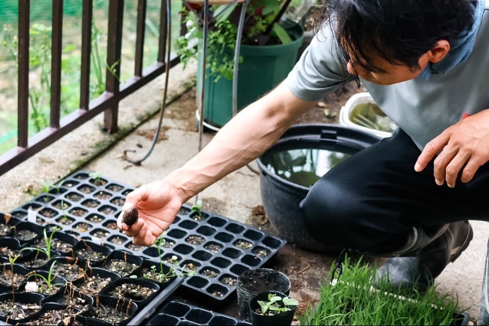 支援金の使い道の画像