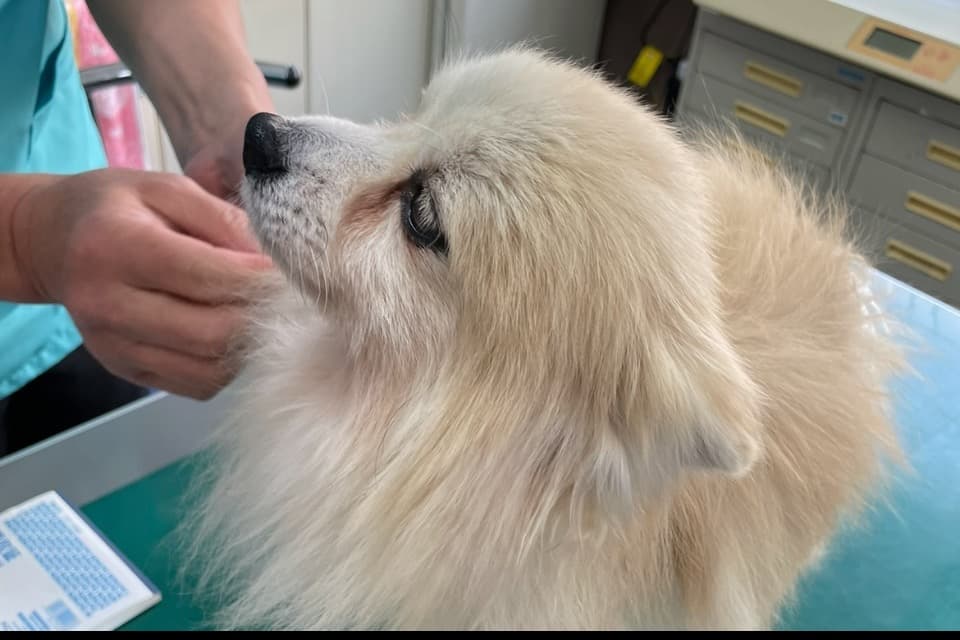 支援金の使い道の画像