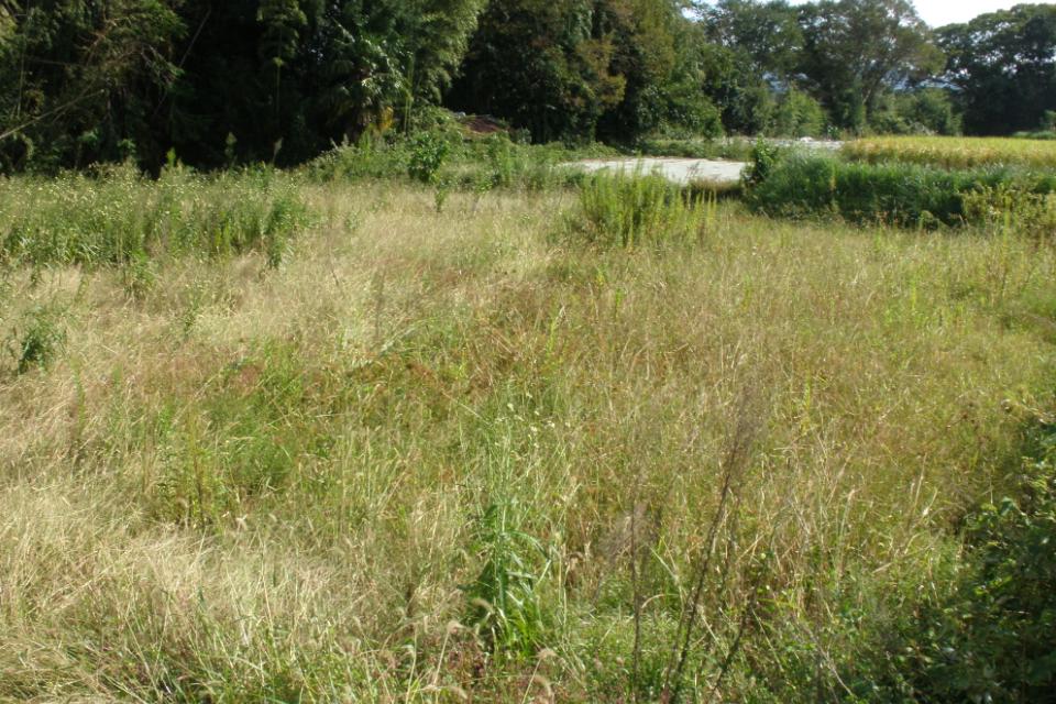 支援金の使い道の画像