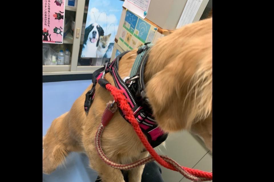 支援金の使い道の画像