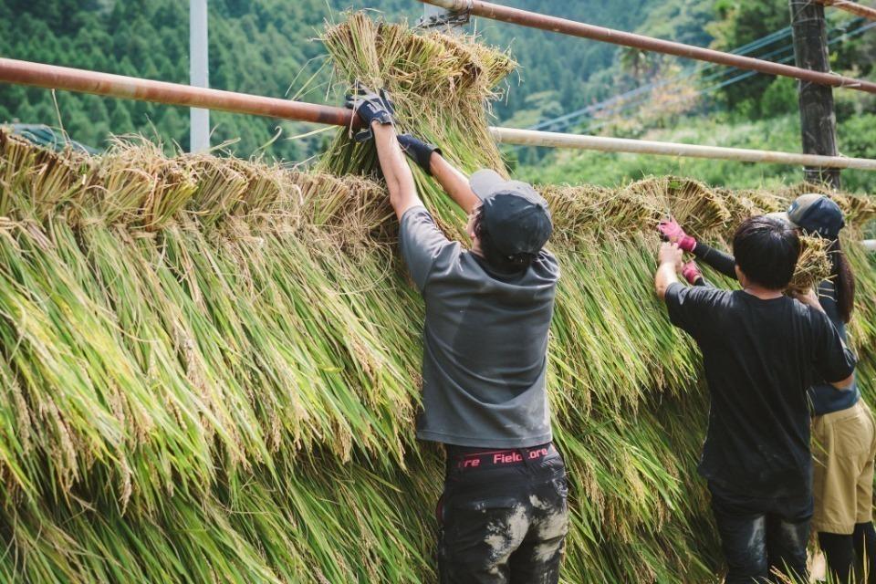 支援金の使い道の画像