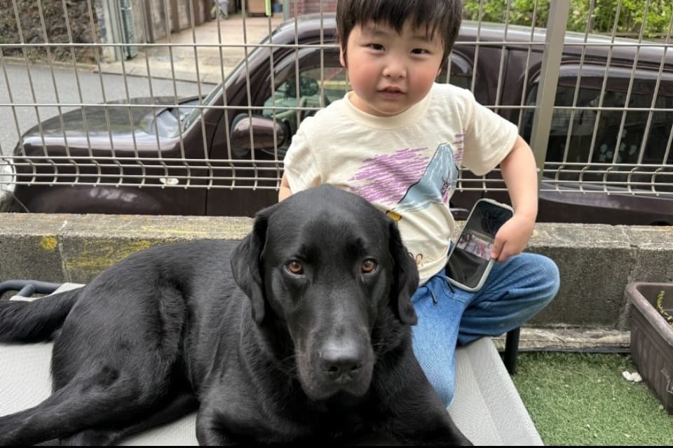 支援金の使い道の画像