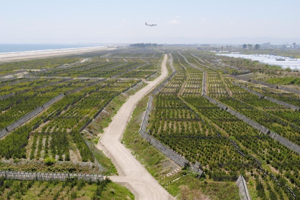 支援金の使い道の画像