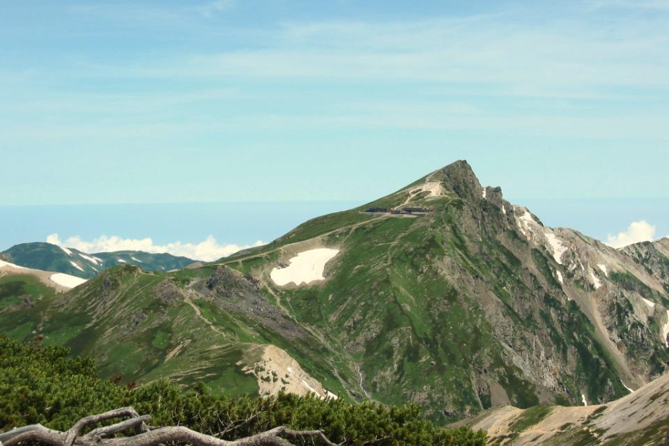 支援金の使い道の画像