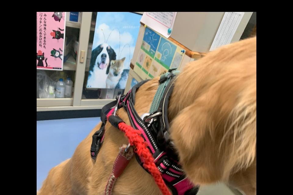 支援金の使い道の画像