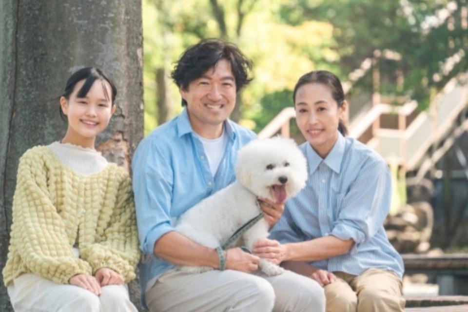 支援金の使い道の画像