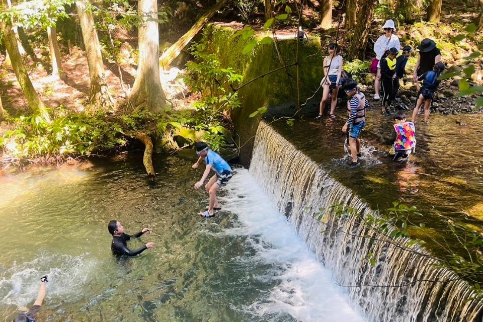 How support is used Image