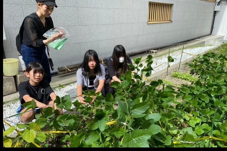 支援金の使い道の画像