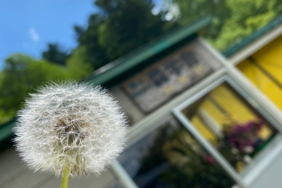 支援金の使い道の画像