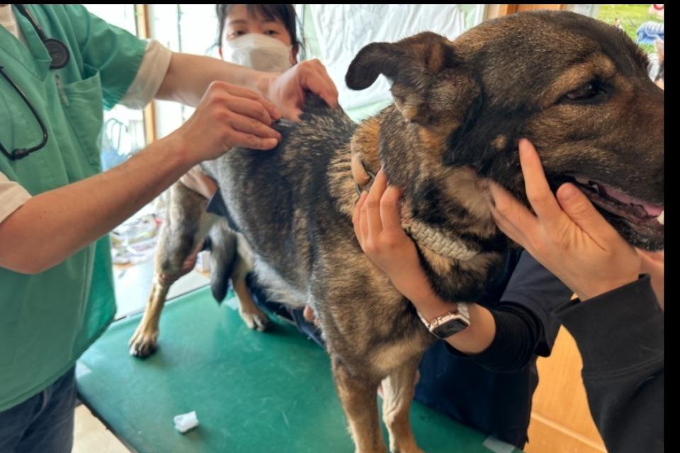 支援金の使い道の画像
