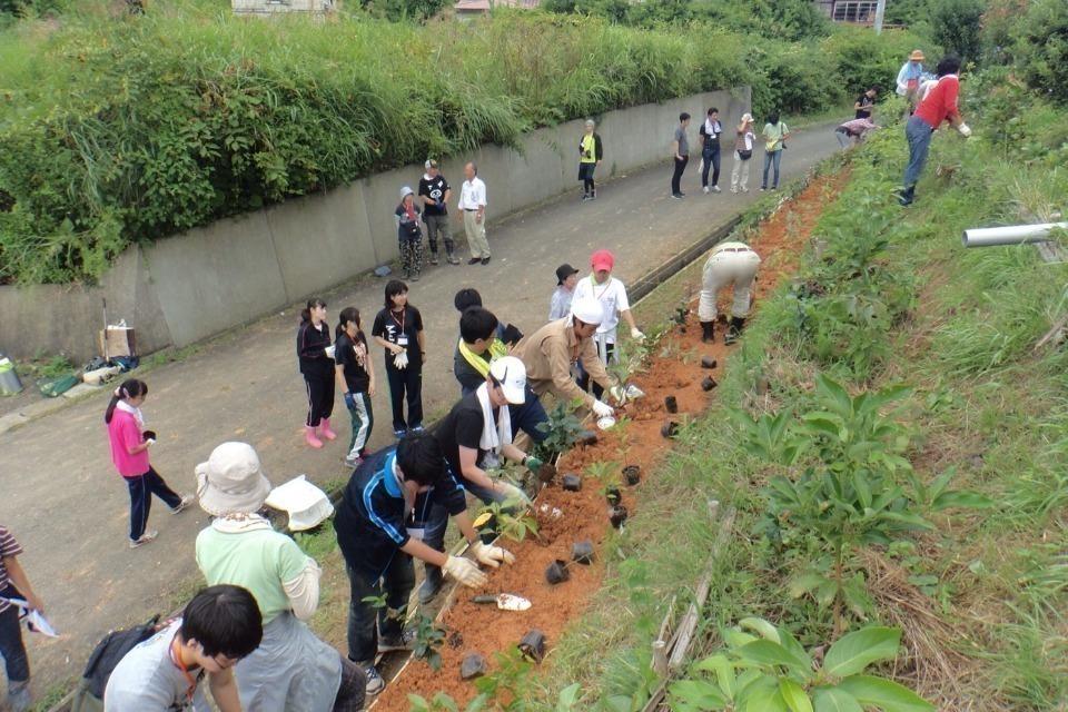 支援金の使い道の画像