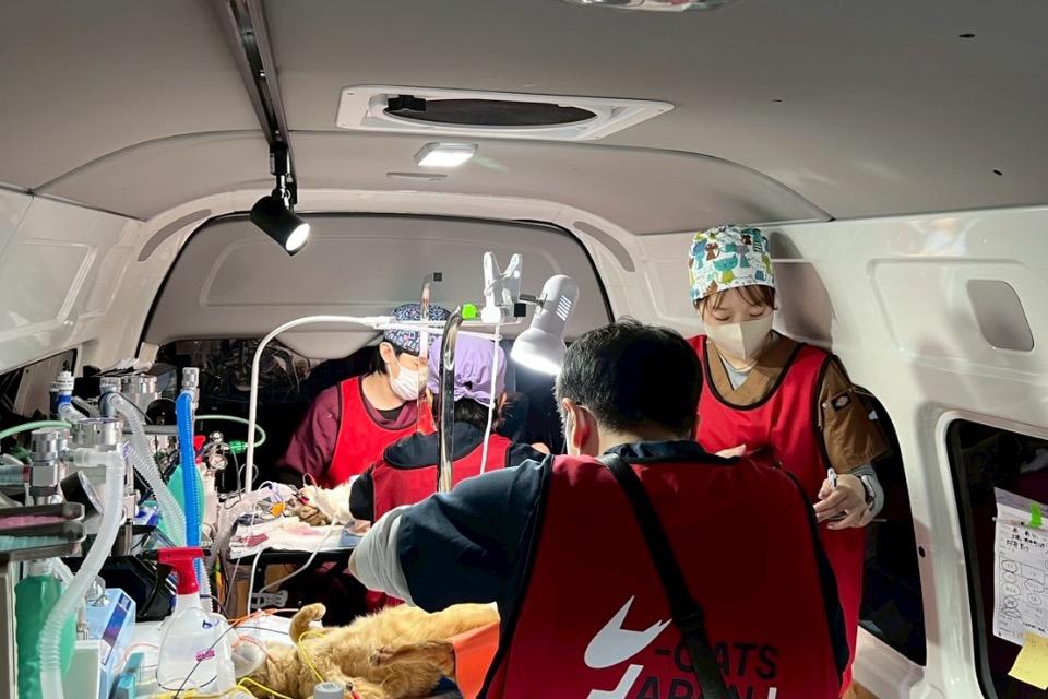 支援金の使い道の画像