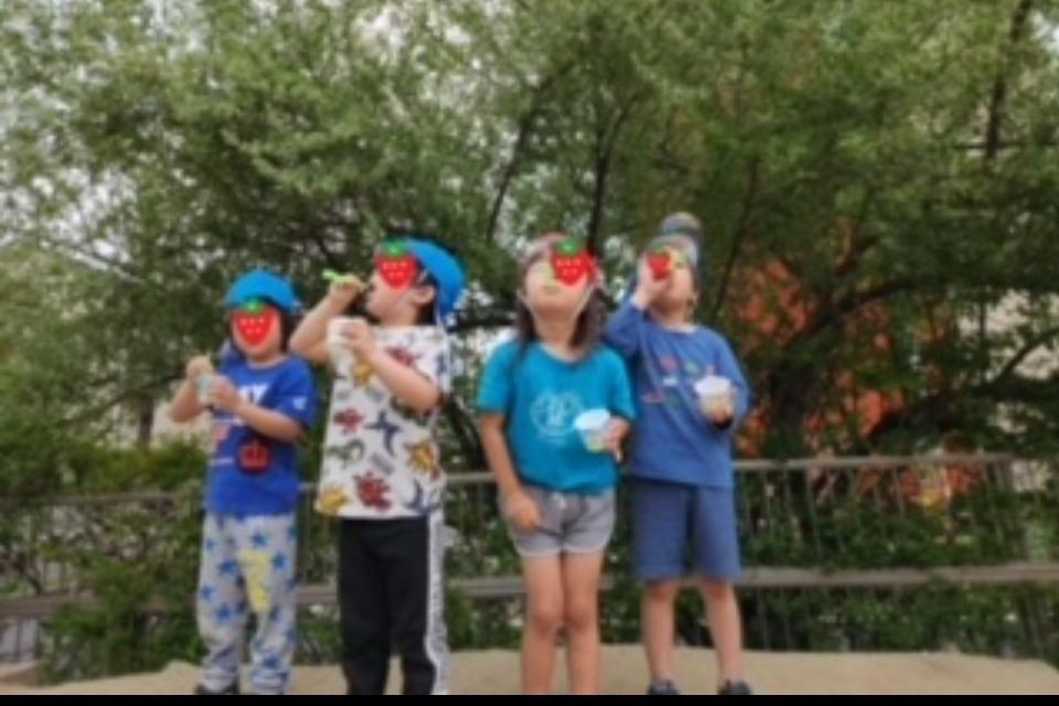 支援金の使い道の画像