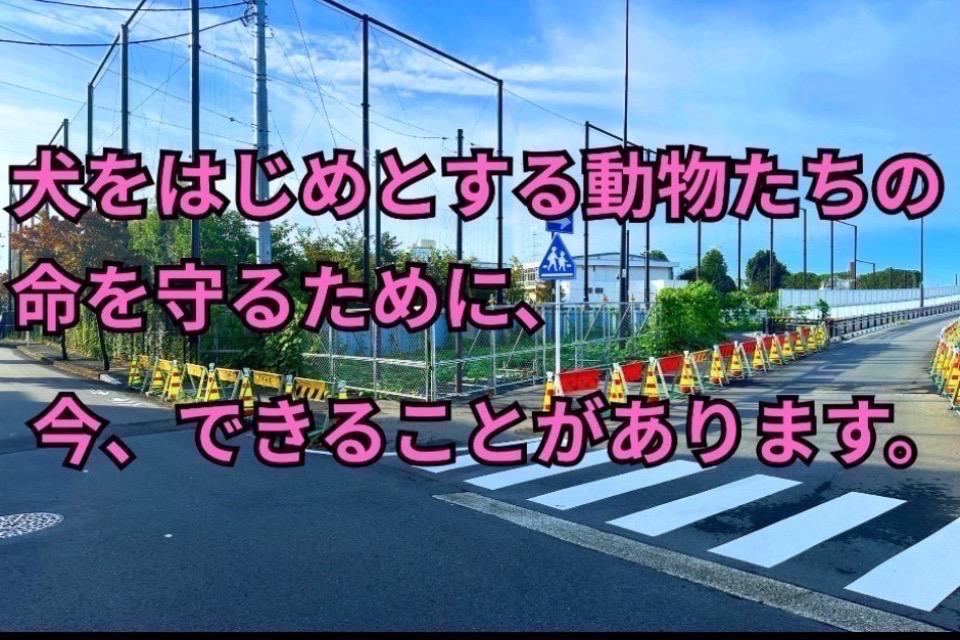 支援金の使い道の画像