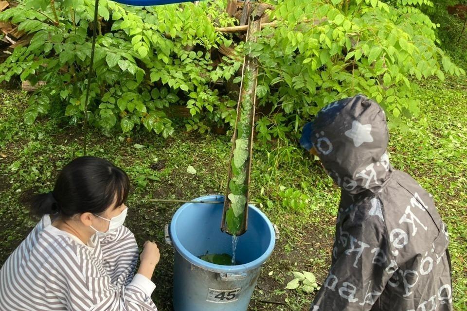 支援金の使い道の画像