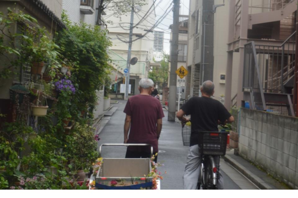 How support is used Image