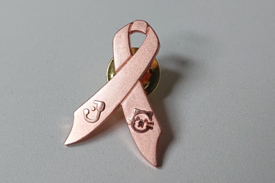 支援金の使い道の画像