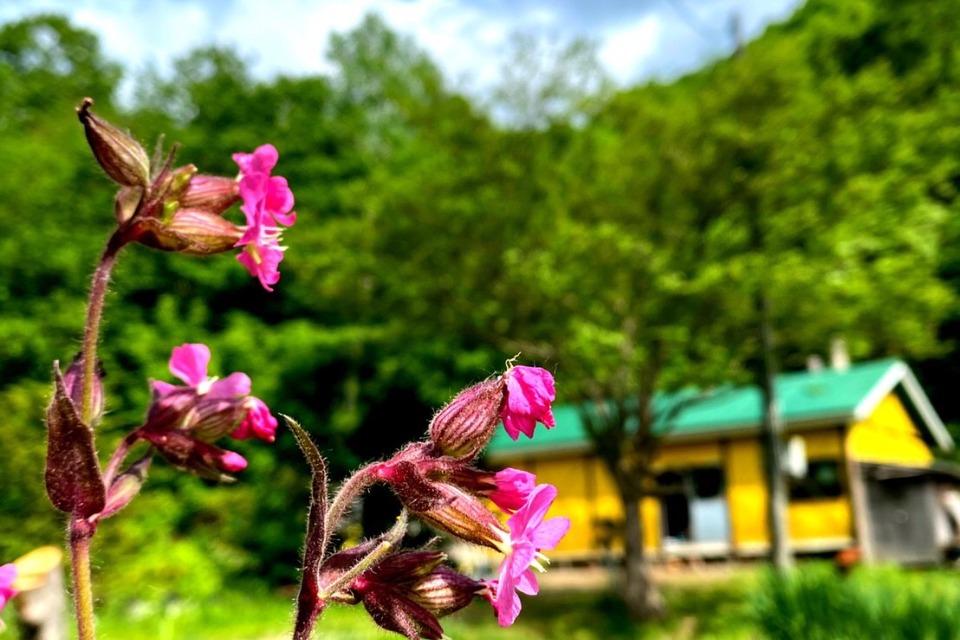 支援金の使い道の画像