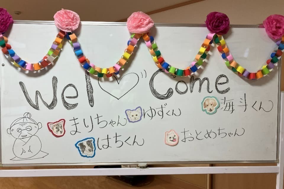 支援金の使い道の画像