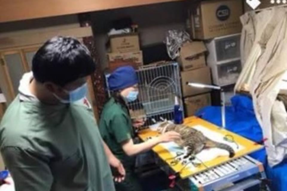 How support is used Image