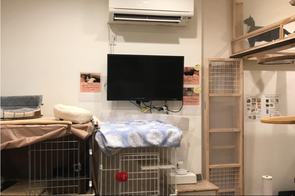 支援金の使い道の画像