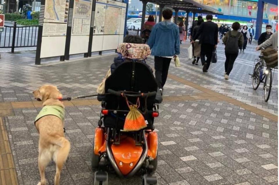 支援金の使い道の画像