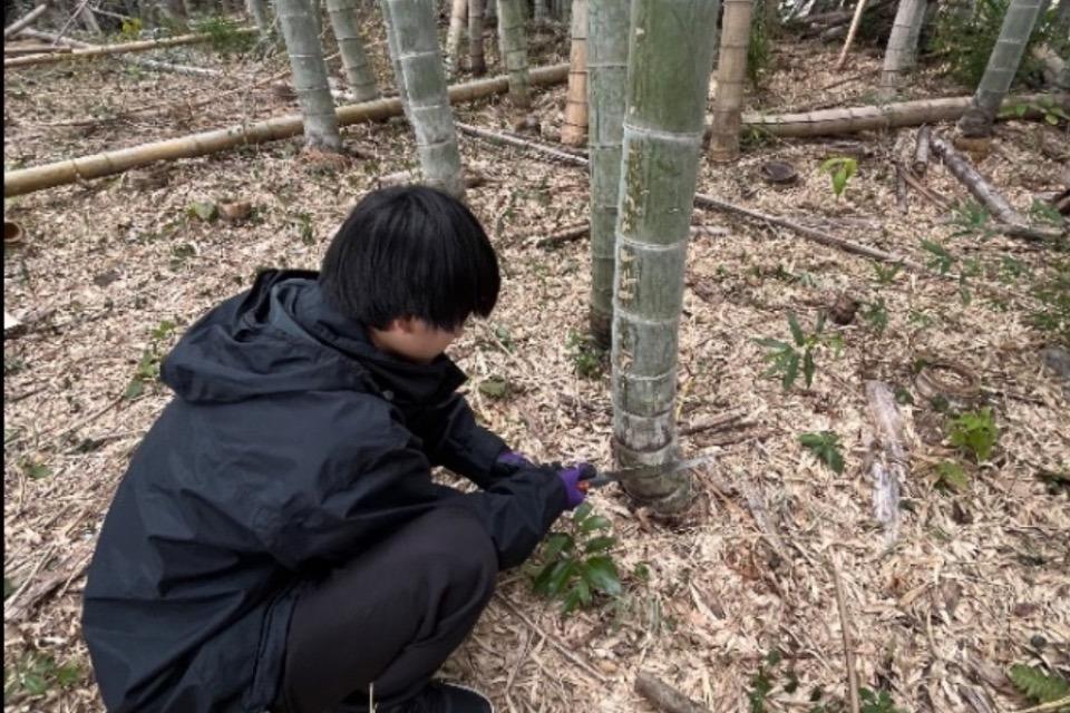 支援金の使い道の画像