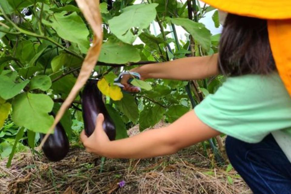 支援金の使い道の画像