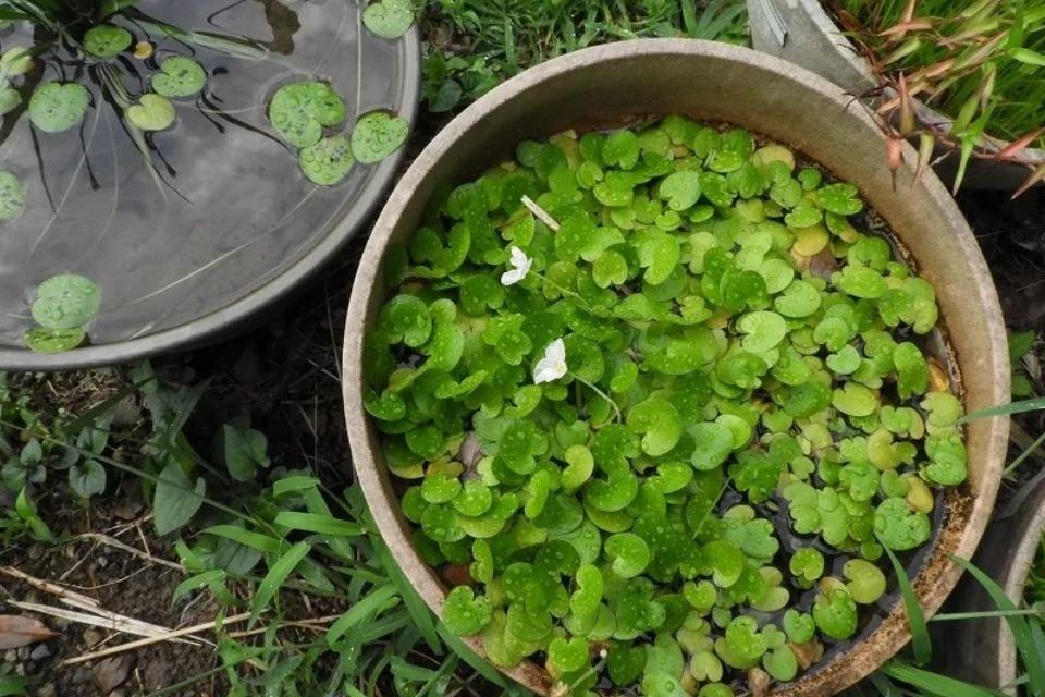 支援金の使い道の画像